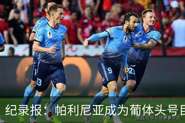 纪录报：帕利尼亚成为葡体头号目标，希望在新赛季开始前敲定交易